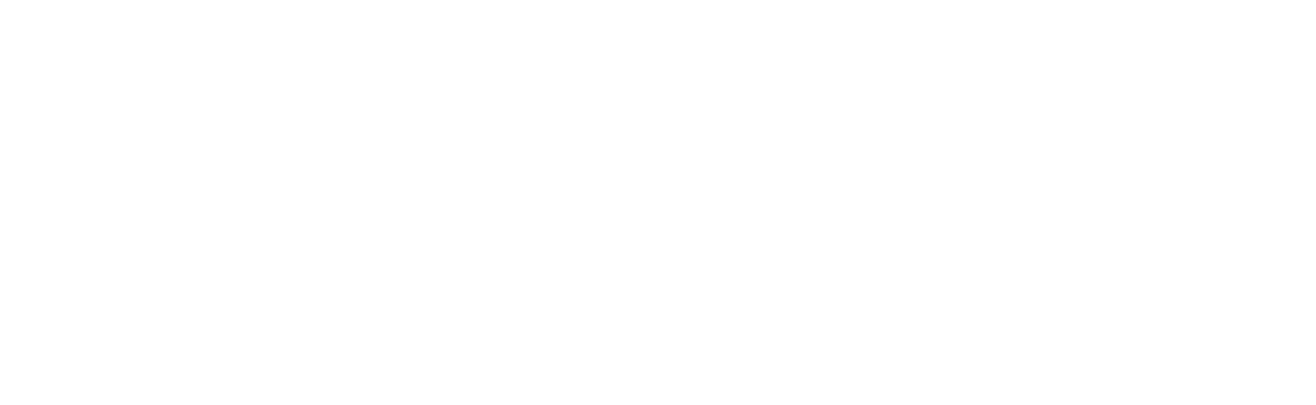 sendigital.us